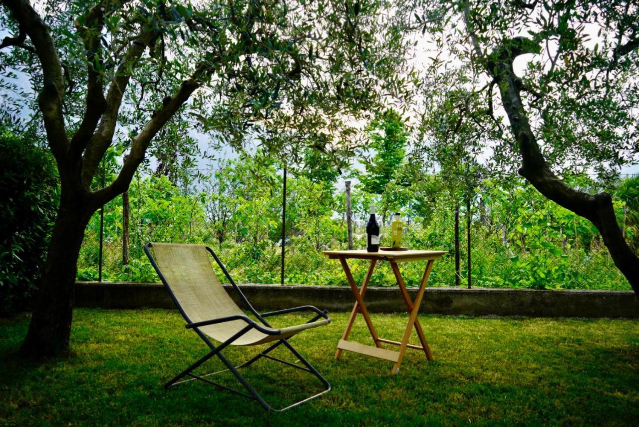 Lake & Rest Riva del Garda Dış mekan fotoğraf